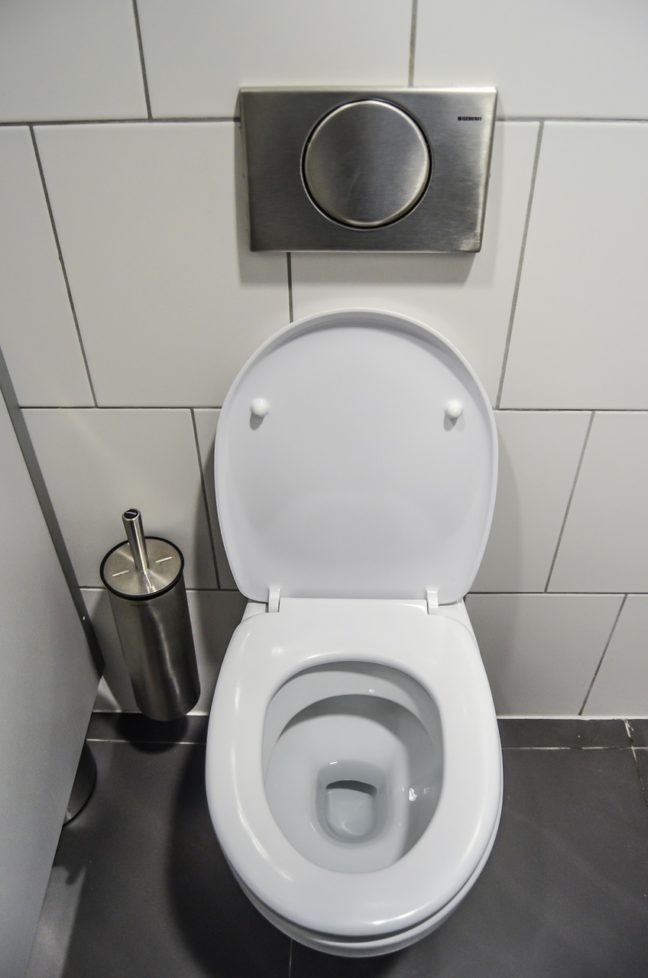 Toilet-Whistle-After-Flushing