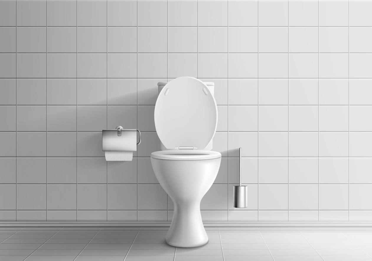 Emergency Toilet Options